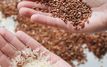 Recetas con arroz integral
